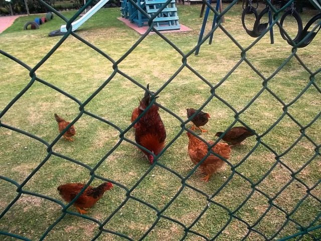 first day of Grade 1